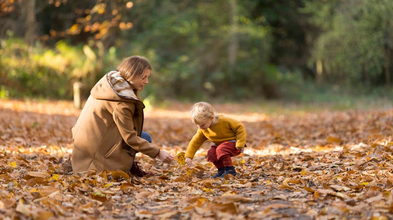 Adult and child playing in the autumn leaves while on a walk in a park